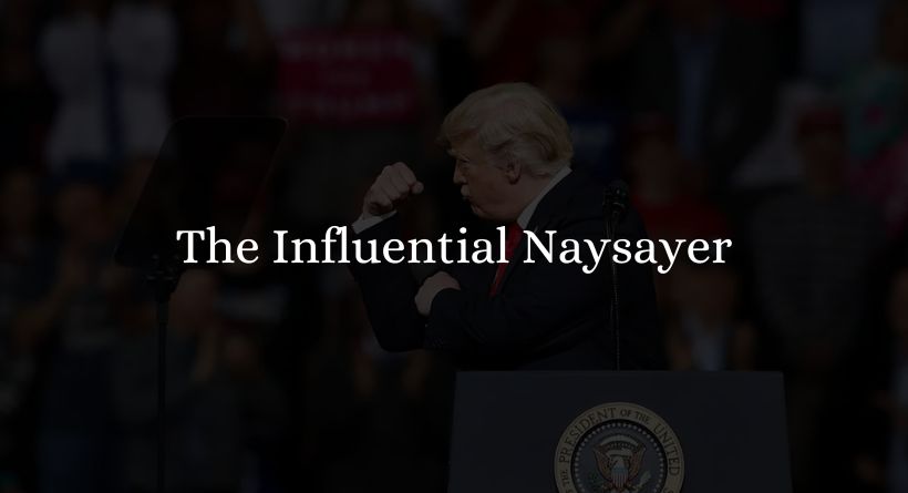 Type 2: The Influential Naysayer