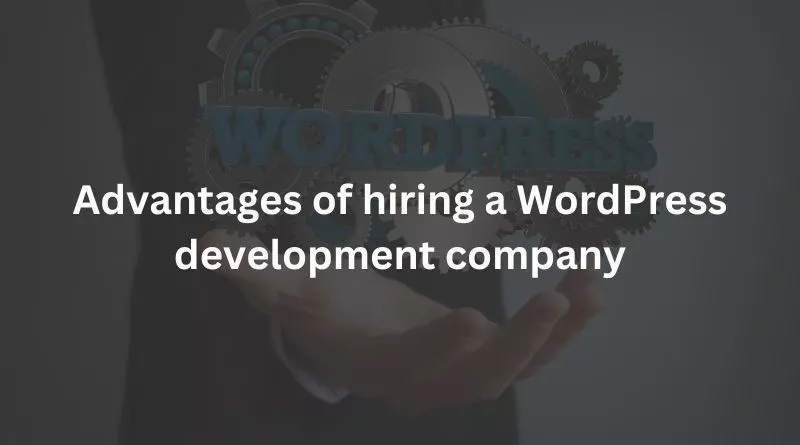 Advantages of hiring a WordPress development company