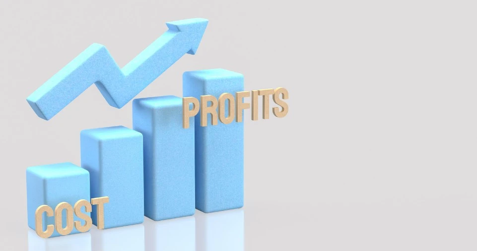 Profit Margin Formula Explained